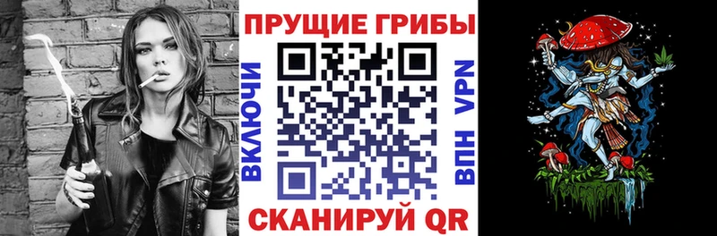 Галлюциногенные грибы Psilocybine cubensis  хочу наркоту  Покров 
