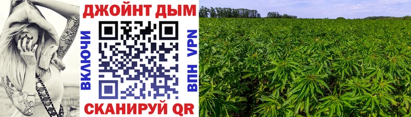Канабис VHQ  Покров 